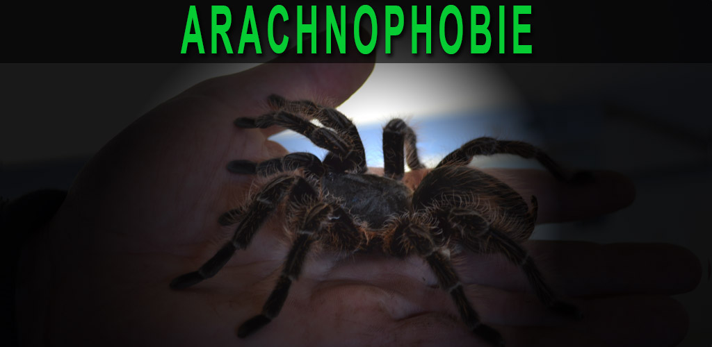 Traiter l'arachnophobie (peur des araignées) avec un spécialiste Thérapie Réalité Virtuelle